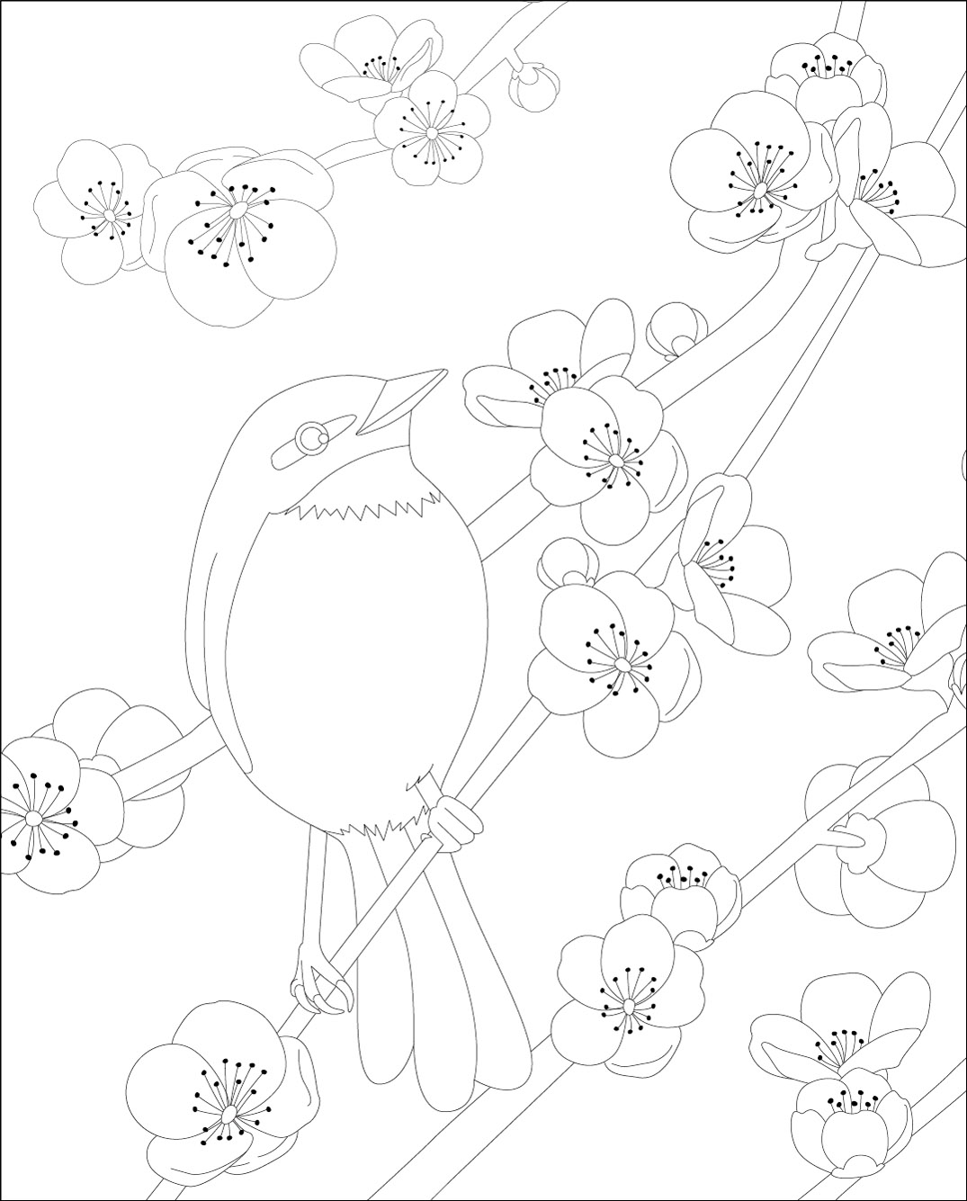 高齢者レク素材 ウグイスと梅｜定番塗り絵｜介護レク広場～レク素材や