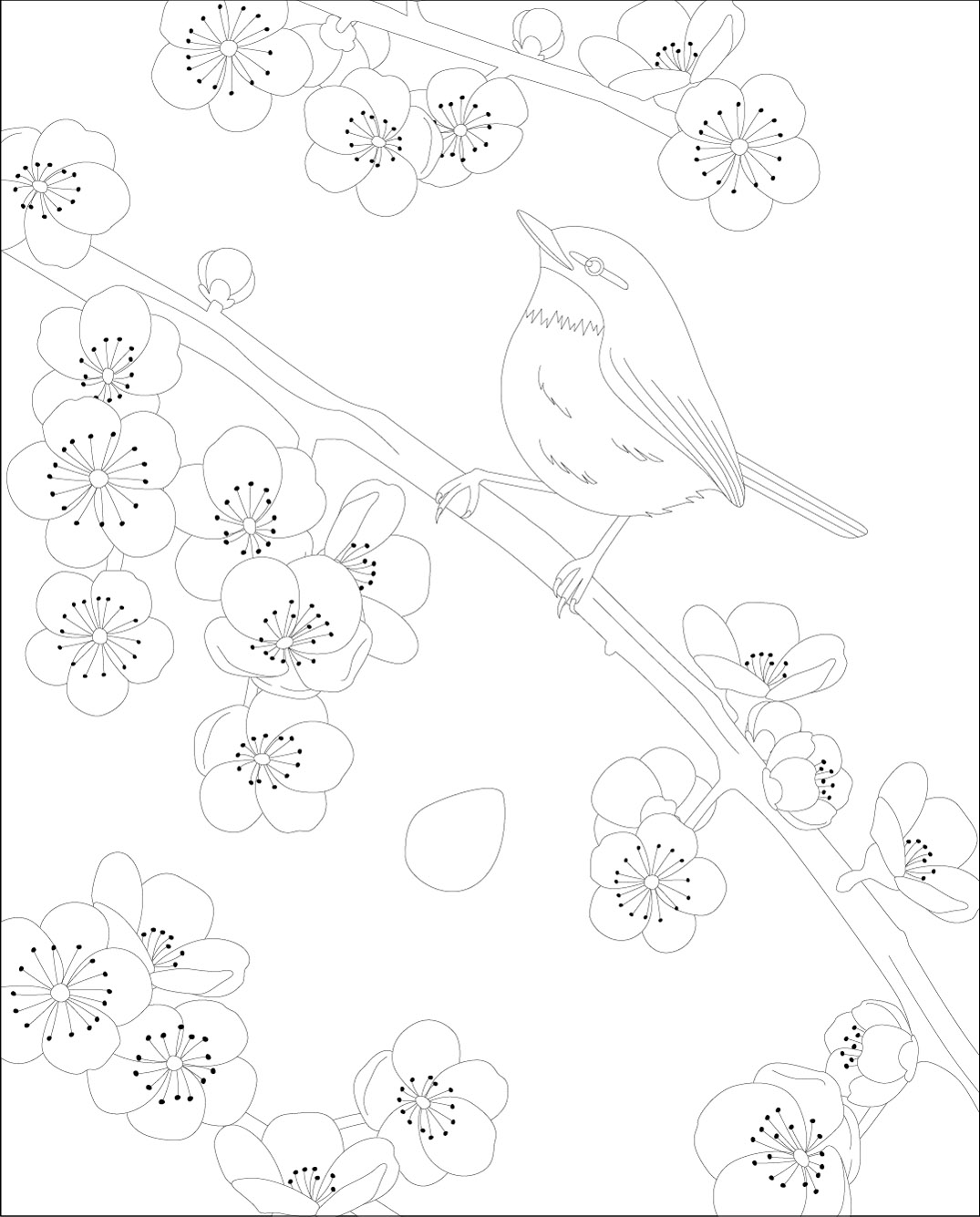 高齢者レク素材 ウグイスと梅｜定番塗り絵｜介護レク広場～レク素材や 