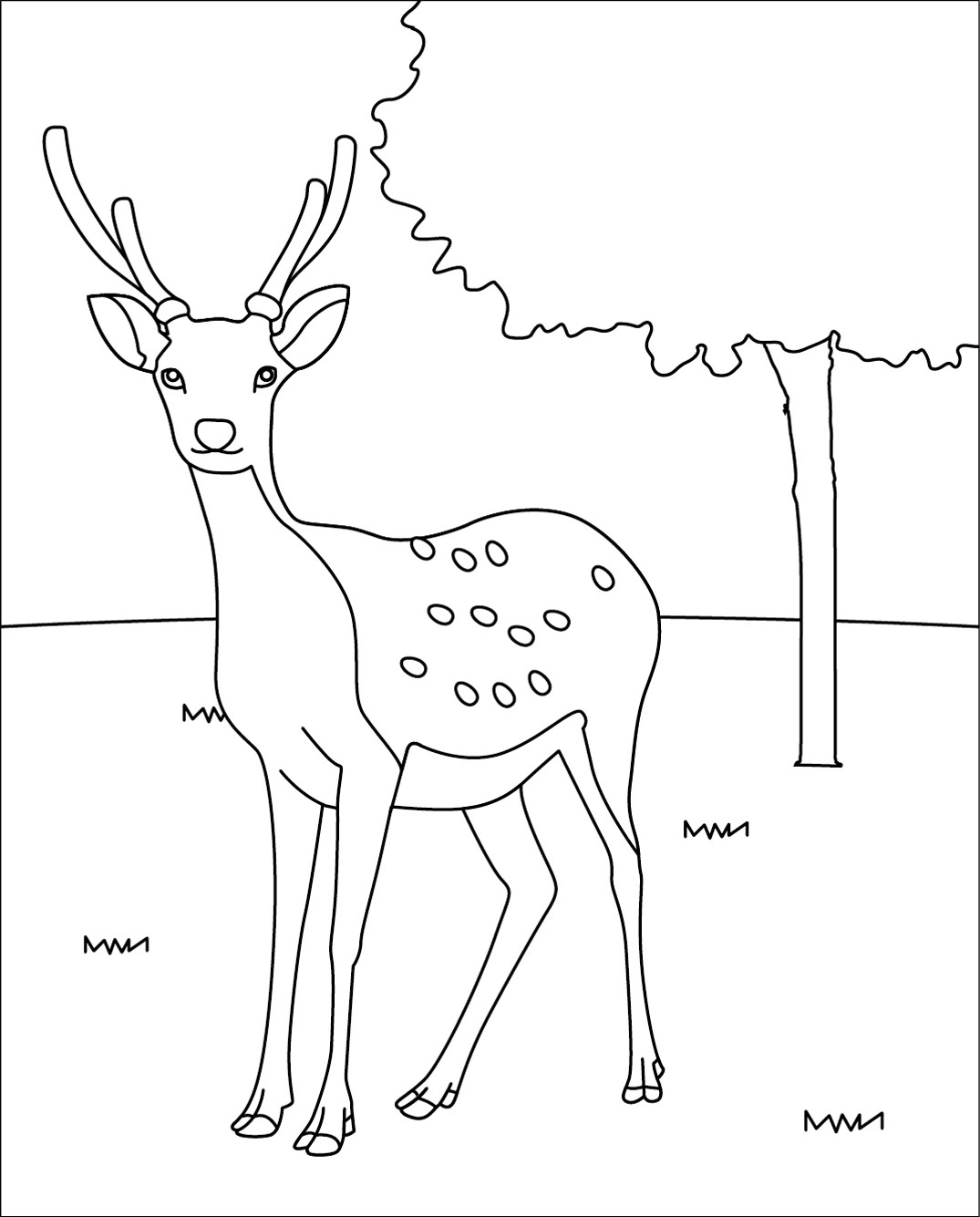 動物の壁紙 綺麗な鹿 イラスト 簡単