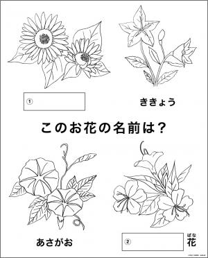 レク素材 夏の花 介護レク広場 レク素材やレクネタ 企画書 の無料ダウンロード