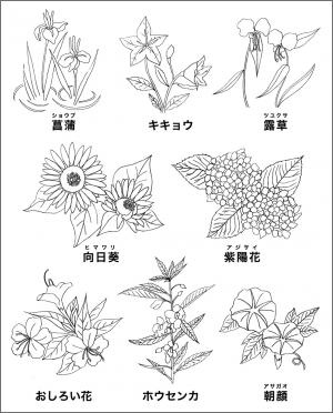 高齢者レク素材 夏の花 定番塗り絵 介護レク広場 レク素材やレクネタ 企画書 の無料ダウンロード