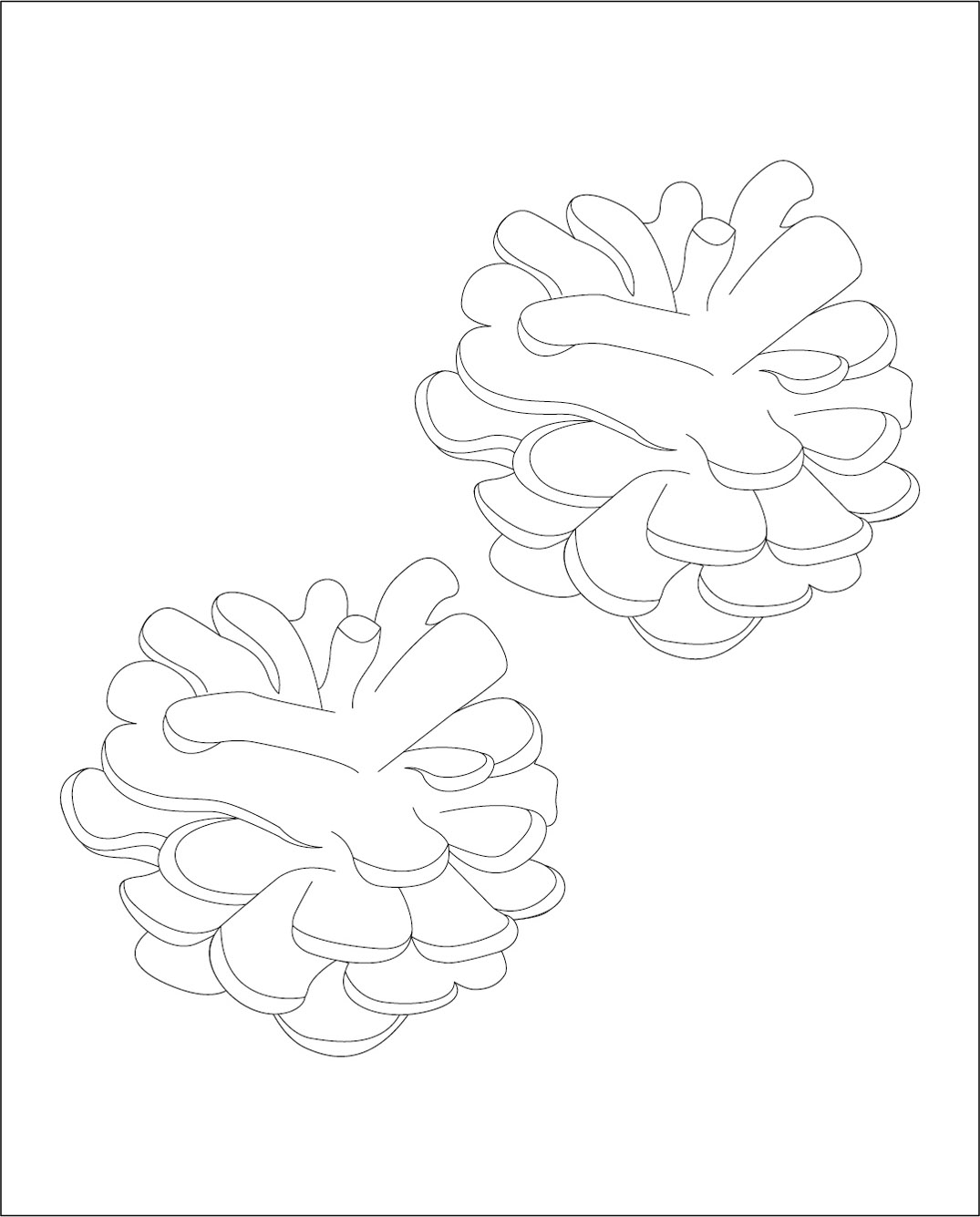 高齢者レク素材 まつぼっくり｜定番塗り絵｜介護レク広場～レク素材や