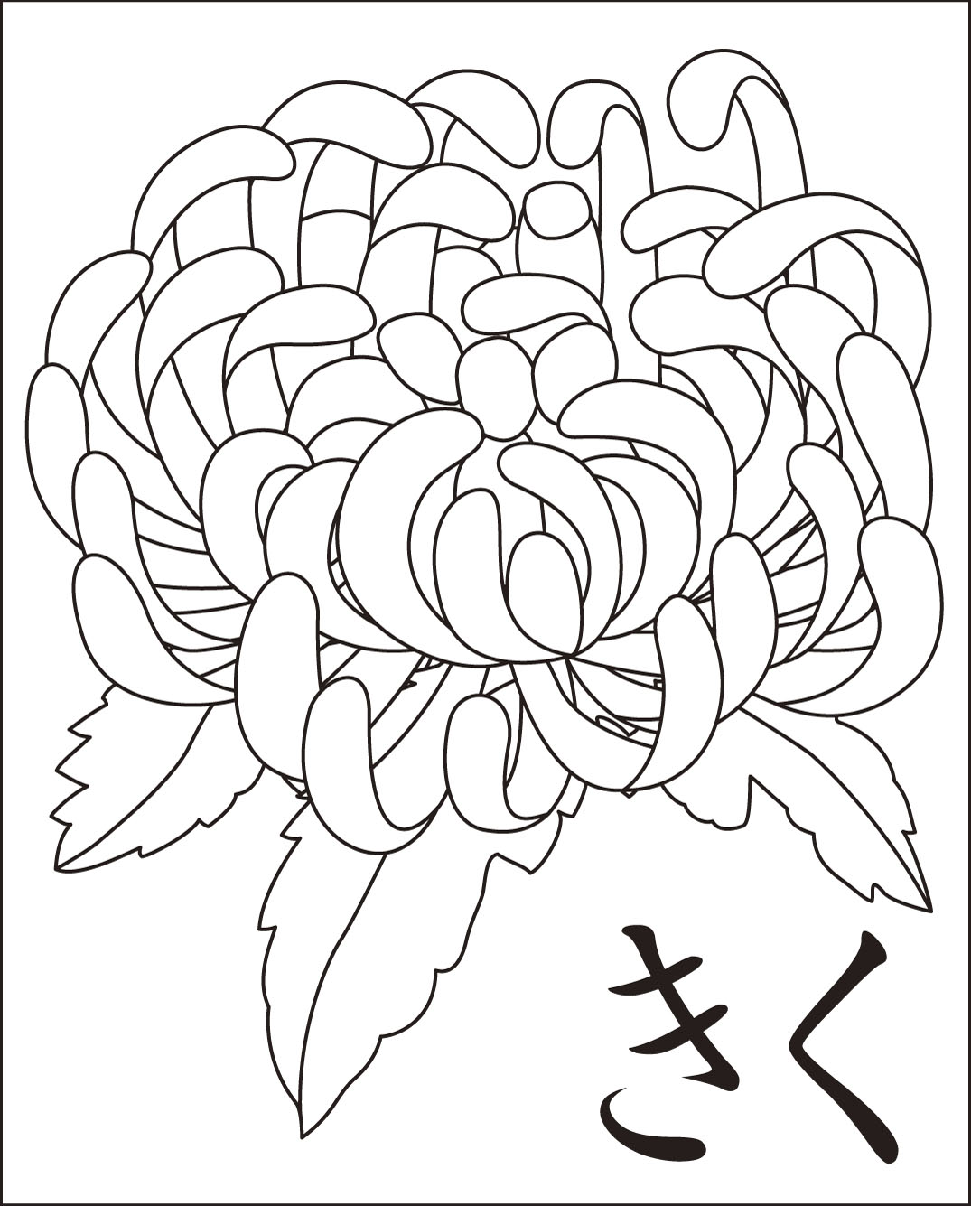 高齢者レク素材 菊 定番塗り絵 介護レク広場 レク素材やレクネタ 企画書 の無料ダウンロード