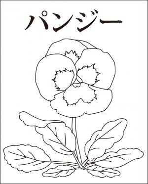 トップ100+塗り絵 高齢者 花 - 最高の花の画像