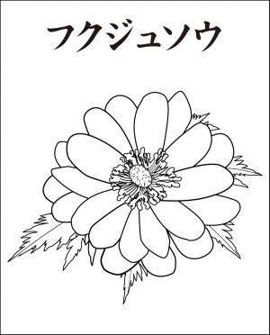 レク素材 福寿草 介護レク広場 レク素材やレクネタ 企画書 の無料ダウンロード