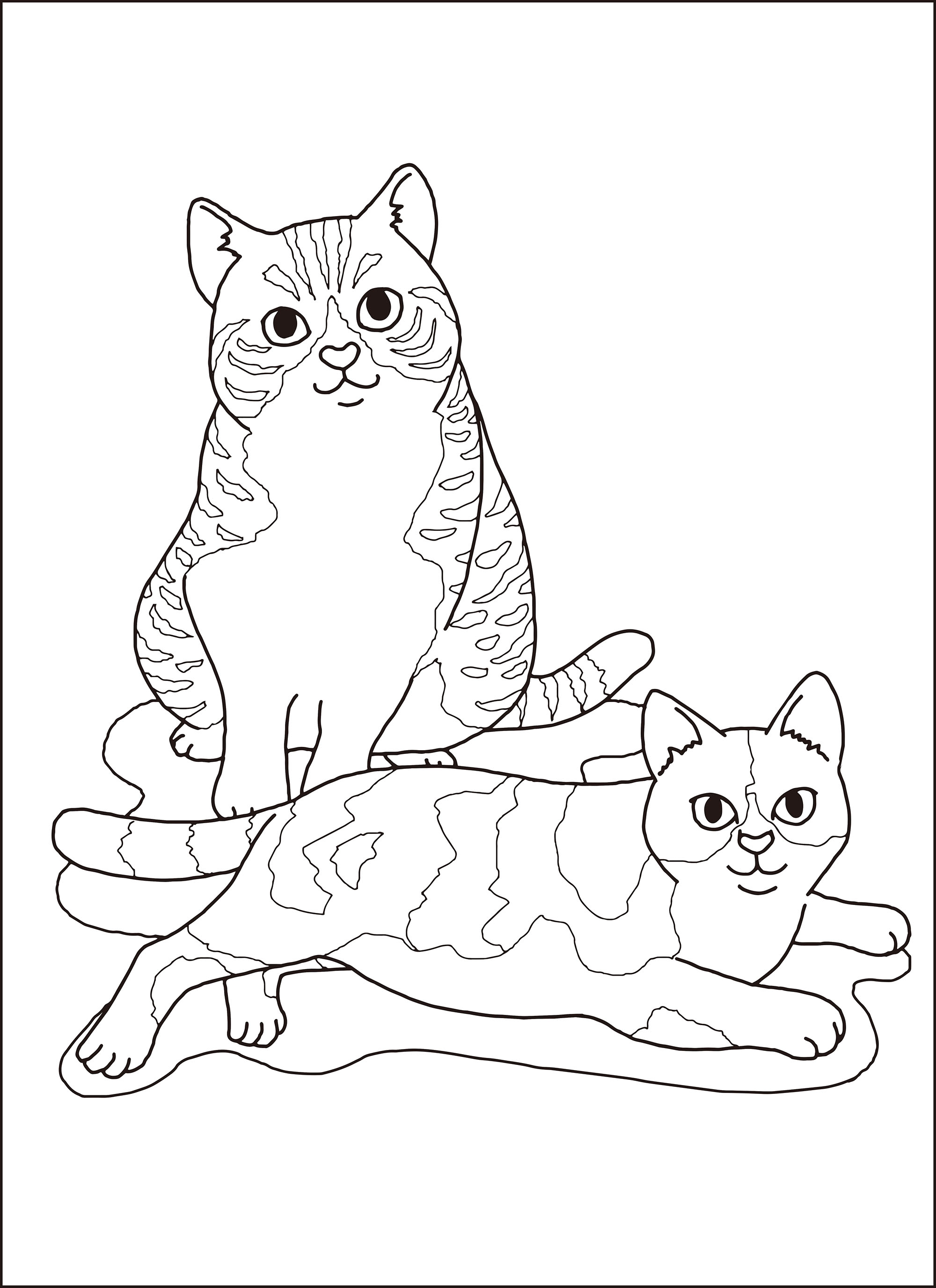 高齢者レク素材 猫 定番塗り絵 介護レク広場 レク素材やレクネタ 企画書 の無料ダウンロード