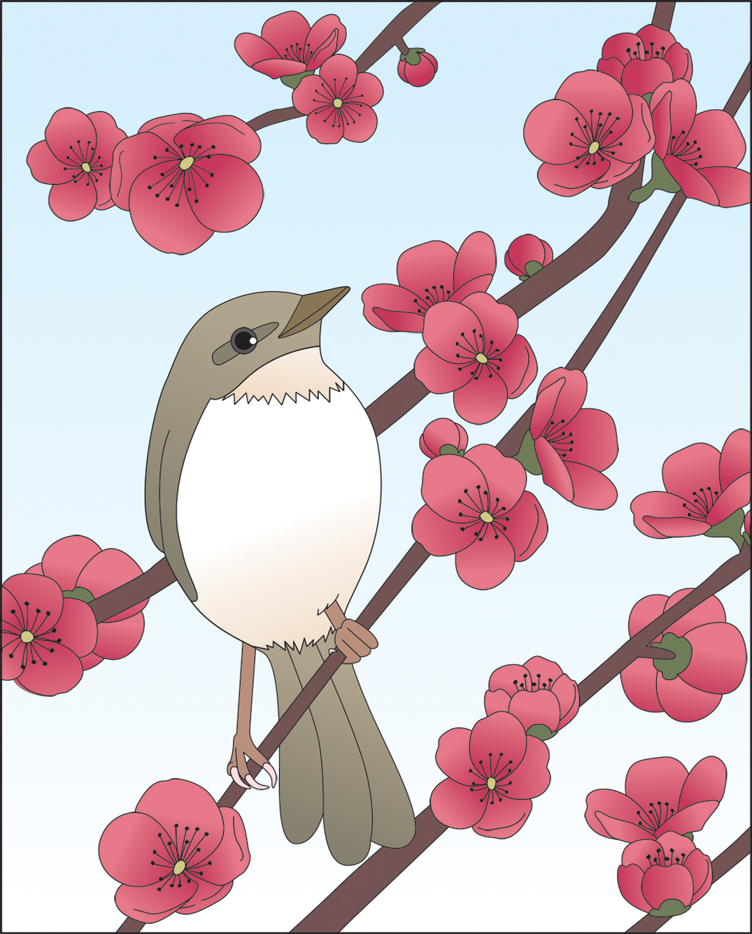 高齢者レク素材 ウグイスと梅｜定番塗り絵｜介護レク広場～レク素材や