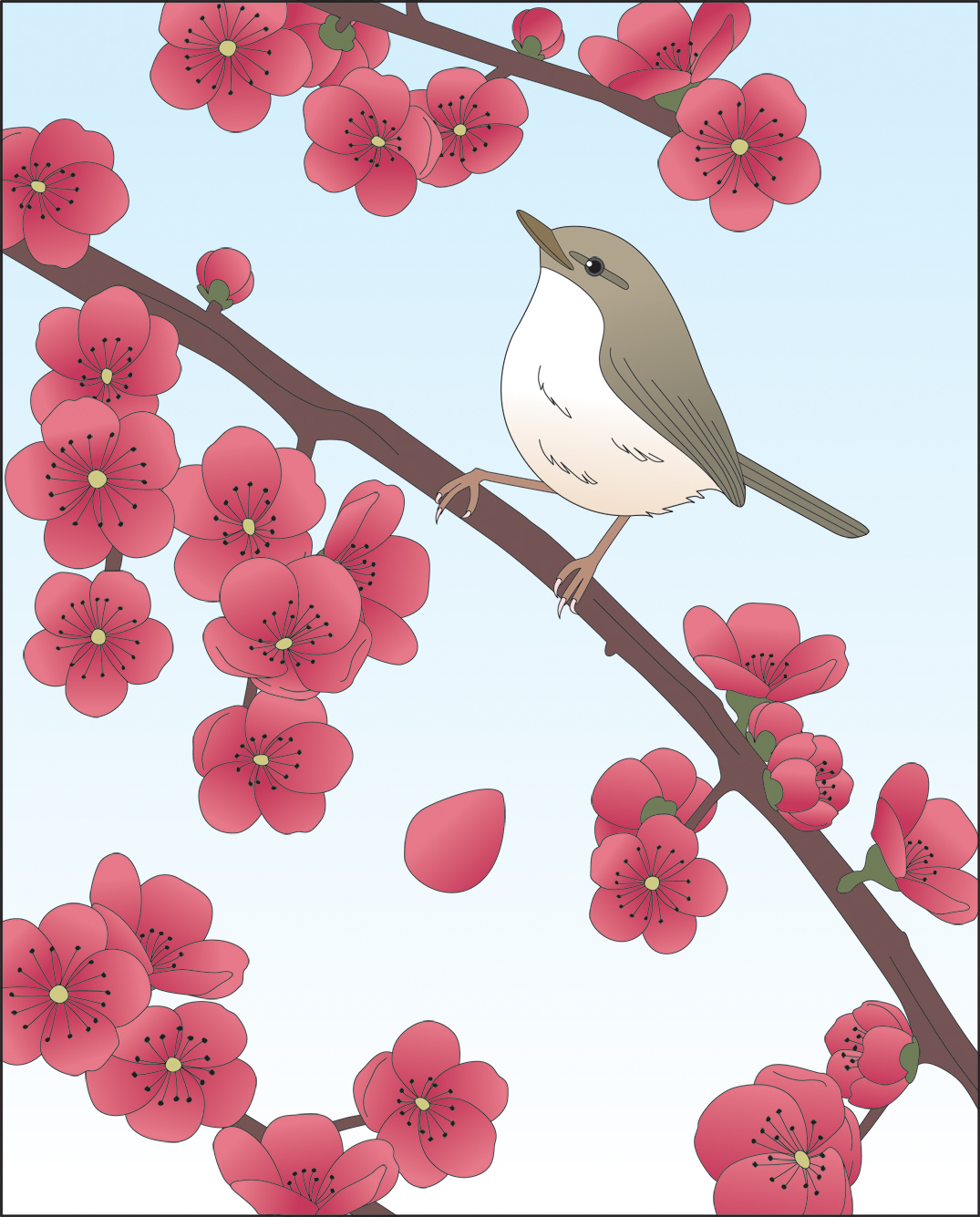 高齢者レク素材 ウグイスと梅｜定番塗り絵｜介護レク広場～レク素材や