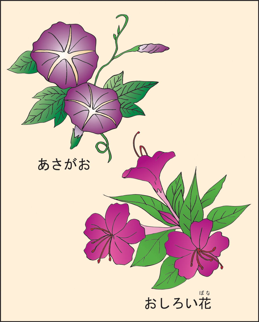 高齢者レク素材 夏の花｜定番塗り絵｜介護レク広場～レク素材や