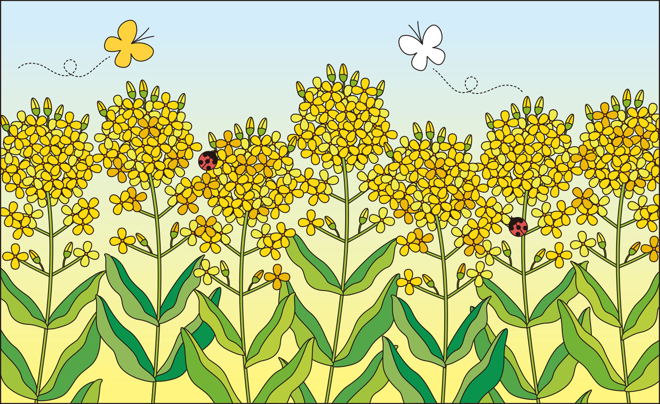 レク素材 菜の花 介護レク広場 レク素材やレクネタ 企画書 の無料ダウンロード レク素材 菜の花 介護レク広場 レク素材やレクネタ 企画書 の無料ダウンロード