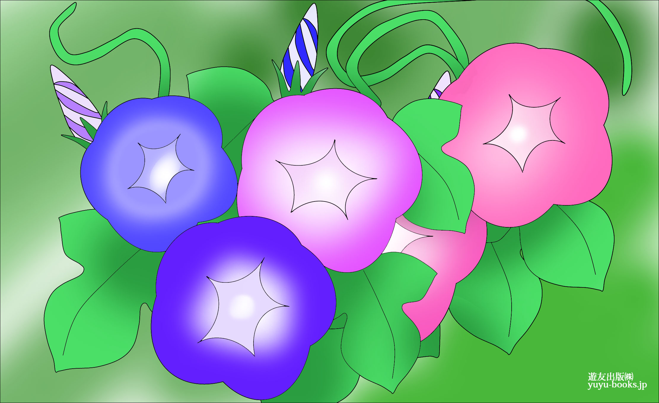 高齢者レク素材 朝顔 遊友出版 定番塗り絵 介護レク広場 レク素材やレクネタ 企画書 の無料ダウンロード 高齢者レク素材 朝顔 遊友出版 定番塗り絵 介護レク広場 レク素材やレクネタ 企画書 の無料ダウンロード