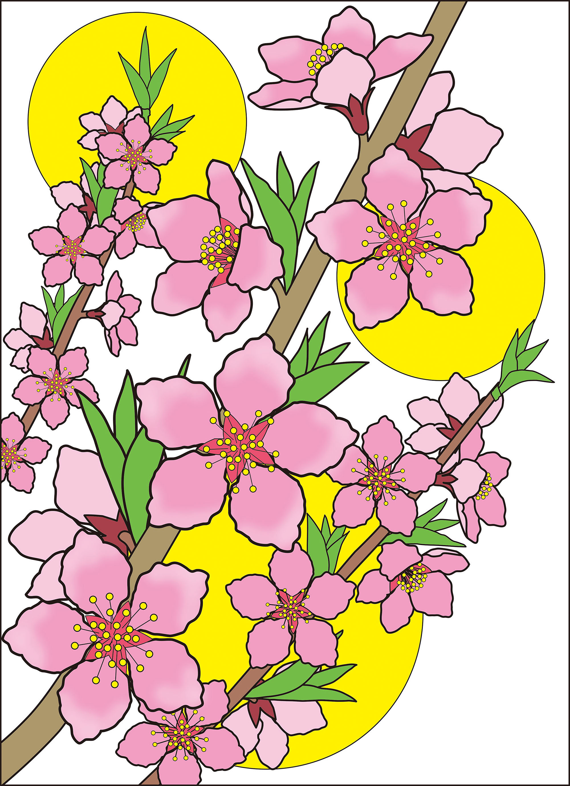 高齢者レク素材 桃の花 定番塗り絵 介護レク広場 レク素材やレクネタ 企画書 の無料ダウンロード
