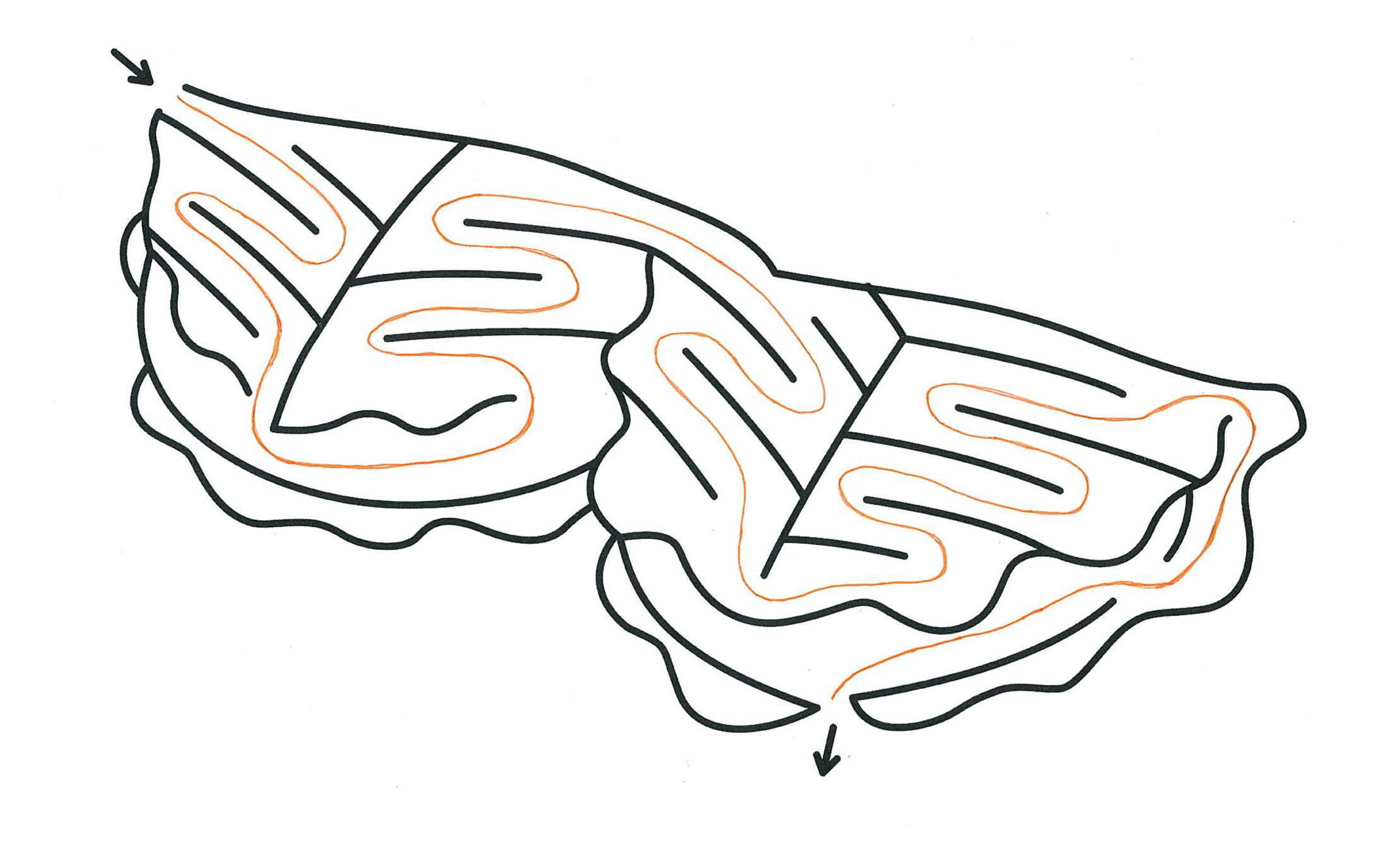 高齢者レク素材 迷路 柏餅 脳活 介護レク広場 レク素材やレクネタ 企画書 の無料ダウンロード